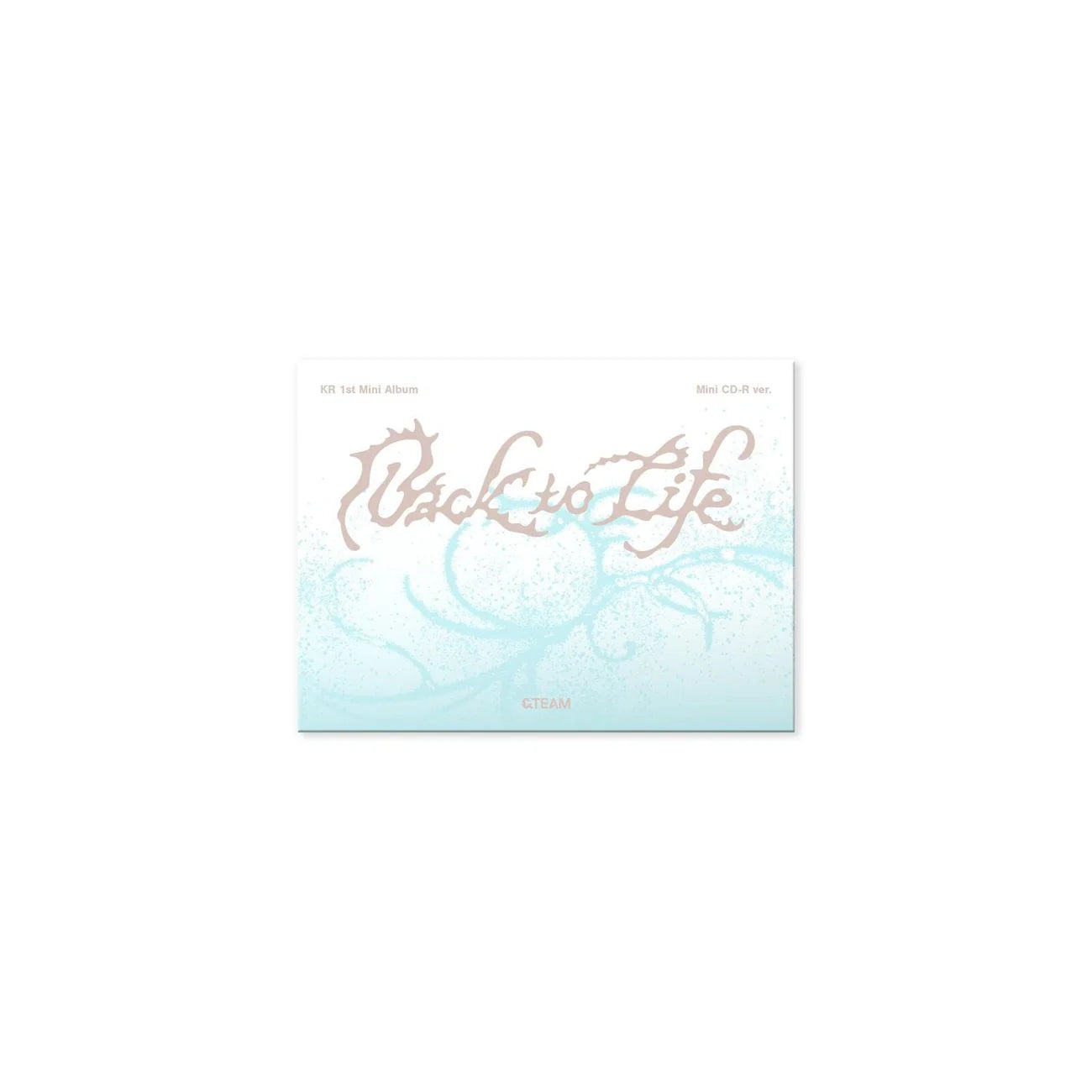 &TEAM - KR 1st Mini Album [Back to Life] Mini CD-R Version